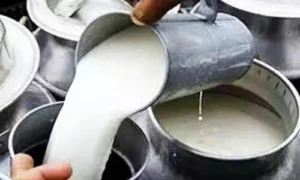 కల్తీ కల్లోలం..  కట్టడిలో విఫలం