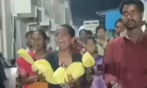 ఇది కులాధిపత్య వైపరీత్యం