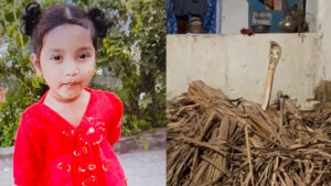 Andhra Pradesh: ఇంటి బయట ఆడుకుంటున్న చిన్నారి.. తల్లి వెళ్లి చూసేసరికే ఊహించని ఘోరం..