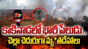 Kakinada Fire Accident: 20 మంది సజీవ దహనం.. పేలుడు ధాటికి చెల్లాచెదురుగా మృతదేహాలు