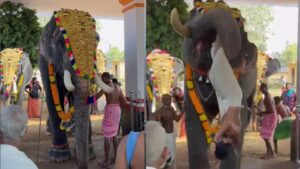 Viral Video: ఆలయ ఉత్సవంలో ‘ఏనుగు’కు ఆగ్రహం.. తొండంతో పూజారిని అంతదూరం..!