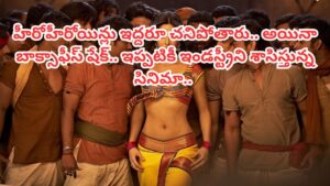Cinema : హీరోహీరోయిన్లు ఇద్దరూ చనిపోతారు.. విషాదకరమైన క్లైమాక్స్.. అయినా బాక్సాఫీస్ షేక్ చేసిన సినిమా.. ఏకంగా 30 అవార్డ్స్..