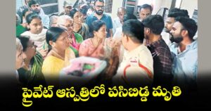 ప్రైవేట్  ఆస్పత్రిలో పసిబిడ్డ మృతి