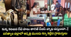 కుక్క కరిచిన గేదె పాలు తాగితే రేబిస్ వ్యాధి వస్తుందా..? జగిత్యాల జిల్లాలో ఆస్పత్రి ముందు క్యూ కట్టిన గ్రామస్తులు