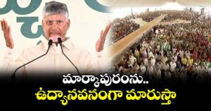 మార్కాపురంను ఉద్యానవనంగా మారుస్తా: సీఎం చంద్రబాబు