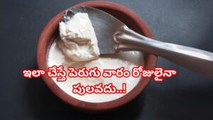 గృహిణులకు గుడ్ న్యూస్: ఈ సింపుల్ ట్రిక్ పాటిస్తే పెరుగు వారం రోజులైనా తాజాగా ఉంటుంది..!