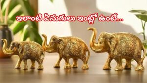 Elephant Vastu Tips: ఏనుగు విగ్రహం ఇంట్లో ఏ దిశలో పెడితే మంచిది? మీకు తెలుసా ఈ ప్రయోజనాలు!