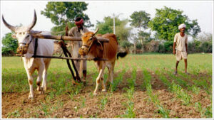 PM Kisan: రైతులకు షాకింగ్‌ న్యూస్‌.. పీఎం కిసాన్‌ 22వ విడత రాకముందే లక్షలాది మంది పేర్ల తొలగింపు!