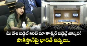 మీ దేశ బడ్జెట్ కంటే మా కాశ్మీర్ బడ్జెట్టే ఎక్కువ!: పాకిస్తాన్‌పై భారత్ నిప్పులు....