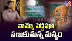 వామ్మో పెద్దపులి.. వణుకుతున్న మన్యం