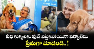 వీధి కుక్కలకు ఫుడ్ పెట్టకపోయినా పర్వాలేదు.. ప్రేమగా చూడండి.. !