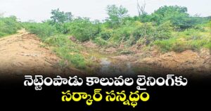 నెట్టెంపాడు కాలువల లైనింగ్‌‌కు  సర్కార్ సన్నద్ధం.. రూ.373 కోట్లతో ప్రపోజల్స్ రెడీ
