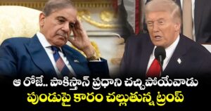 ఆ రోజే.. పాకిస్తాన్ ప్రధాని చచ్చిపోయేవాడు: పుండుపై కారం చల్లుతున్న ట్రంప్
