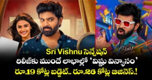 Sri Vishnu సెన్సేషన్: రిలీజ్‌కు ముందే లాభాల్లో ‘విష్ణు విన్యాసం’.. రూ.19 కోట్ల బడ్జెట్.. రూ.26 కోట్ల బిజినెస్.!