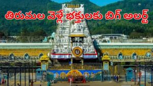 Tirumala: శ్రీవారి భక్తులకు టీటీడీ అలెర్ట్.. జాగ్రత్త సుమీ..
