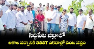 సిద్దిపేట జిల్లాలో అకాల వర్షానికి 3887 ఎకరాల్లో పంట నష్టం