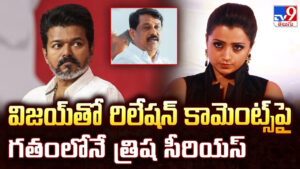 Vijay: విజయ్‌తో రిలేషన్ కామెంట్స్‌పై గతంలోనే త్రిష సీరియస్