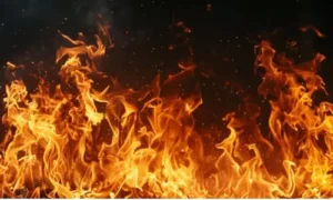 పోలీస్‌స్టేషన్‌లో అగ్ని ప్రమాదం.. వాహనాలు దగ్ధం