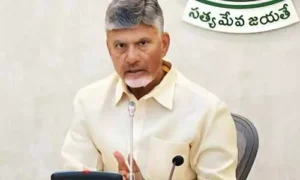 పబ్లిక్ పర్షెప్సన్ ఉండాలి : చంద్రబాబు