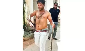 కాటు వేయడంతో పాముతో ఆస్పత్రికి చేరుకున్న యువకుడు