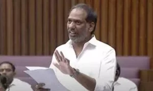 విద్యుత్ లైన్ల నిర్మాణ పనులు జరుగుతున్నాయి: గొట్టిపాటి
