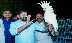 మూసీ చుట్టూ నైట్ బజార్లు