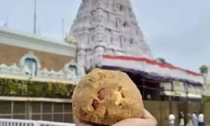 జంతు కొవ్వు కలిసిందని చెప్పడానికి మీరు నిపుణులా: సుప్రీం