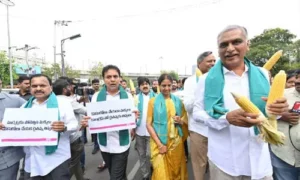 మొక్కజొన్న వెంటనే కొనుగోలు చేయాలి: హరీష్ రావు