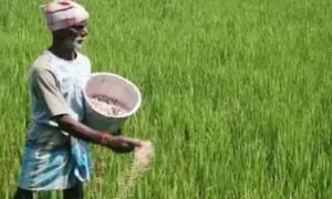 70 లక్షల మంది రైతుల ఖాతాలో ఒకేసారి డబ్బులు