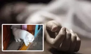 మీర్ పేట్ లో పిల్లి చనిపోయిందనే బాధతో డిగ్రీ విద్యార్థిని ఆత్మహత్య