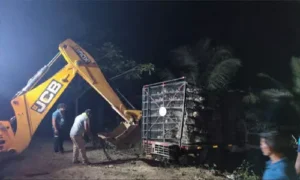 రోడ్డు ప్రమాదంలో 3వేల బాతులు మృత్యువాత