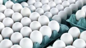 Egg Prices Fall: కోడి గుడ్డు ధర భారీగా పతనం..