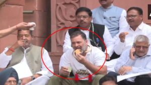 Rahul Gandhi: గ్యాస్ సంక్షోభం.. పార్లమెంట్ ఎదుట ఛాయ్, బిస్కెట్స్ తింటూ రాహుల్ గాంధీ నిరసన