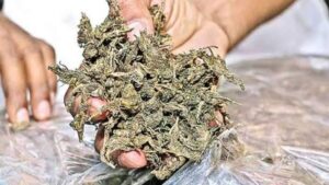 Ganja Smuggling: గంజాయి కేటుగాళ్లుగా కానిస్టేబుల్స్.. విశాఖలో ఐదుగురు అరెస్ట్!
