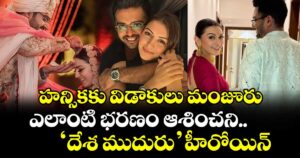 హన్సికకు విడాకులు మంజూరు.. ఎలాంటి భరణం ఆశించని ‘దేశ ముదురు’ హీరోయిన్