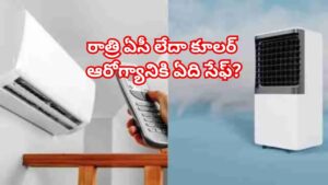 ఎండాకాలం స్పెషల్: ఏసీనా లేక కూలరా? ఆరోగ్యానికి ఏది ప్రమాదకరం? నిపుణుల సూచనలు