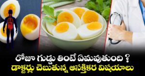 రోజూ గుడ్డు తింటే ఏమవుతుంది ? డాక్టర్లు చెబుతున్న ఆసక్తికర విషయాలు..