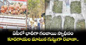 ఏపీలో భారీగా గంజాయి స్వాధీనం... కూరగాయల మాటున గుట్టుగా రవాణా..