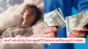 Swapna Shastra : కలలో ఇది కనిపిస్తే జాగ్రత్త! మీ ఆస్తిపాస్తులు కరిగిపోయి.. రోడ్డున పడటానికి ఇది మొదటి సంకేతం!
