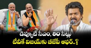 TVK Vijay: డిప్యూటీ సీఎం, 80 సీట్లు.. టీవీకే విజయ్⁭కు బీజేపీ ఆఫర్..?