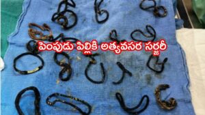 కడుపు ఉబ్బిపోయి ఆయాసపడుతున్న పెంపుడు పిల్లి.. ఎక్స్-రే తీయగా డాక్టర్స్‌ షాక్..!