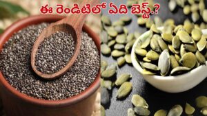 చియా సీడ్స్ Vs గుమ్మడి గింజలు.. ఆరోగ్యానికి ఏది మంచిది..? తినేముందు అసలు వాస్తవాలు తెలుసుకోండి..