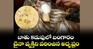 బాతు కడుపులో బంగారం.. చైనా వ్యక్తిని వరించిన అదృష్టం