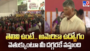 CM Chandrababu: తెలివి ఉంటే.. అమెరికా ఉద్యోగం వెతుక్కుంటూ మీ దగ్గరకే వస్తుంది