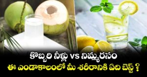 కొబ్బరి నీళ్లు vs నిమ్మరసం:  ఎండాకాలంలో మీ శరీరానికి  ఏది బెస్ట్ ?