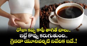 Good Health:రోజూ కప్పు కాఫీ తాగితే చాలు..ఇట్టే కొవ్వు కరుగుతుంది..గ్రెనడా యూనివర్శిటి నివేదిక ఇదే..! 