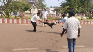 Dwaraka Tirumala: అయ్యో.. ఈ కుక్కకు ఎన్ని బాధలొచ్చాయి.. చివరకు..