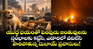 యుద్ధ భయంతో పెంపుడు జంతువులను స్తంభాలకు కట్టేసి, ఎడారిలో వదిలేసి పారిపోతున్న దుబాయ్ ప్రవాసులు!