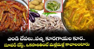 Kitchen Telangana : ఎండి చేపలు.. పచ్చి కూరగాయల కూర.. సూపర్ టేస్ట్.. ఒకసారి తింటే మళ్లీ మళ్లీ కావాలంటారు..