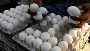 Egg Price: పల్టీ కొట్టిన కోడి గుడ్డు ధర.. మరీ ఇలానా..?